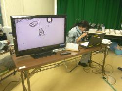 電子顕微鏡の微生物をモニターに映写
