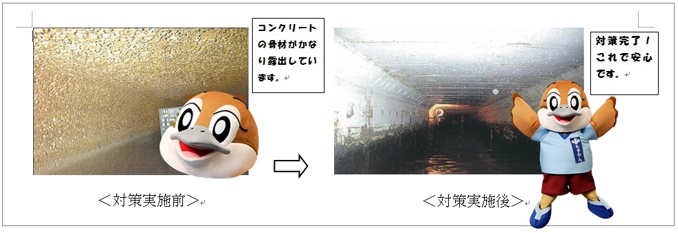 対策実施前と対策実施後の写真