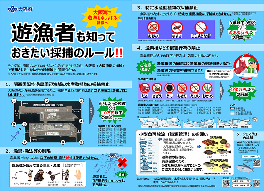 チラシ画像
