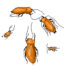 衛生害虫イラスト