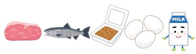 たんぱく質を多く含む食品