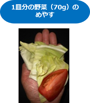 1皿（野菜70g）のめやす