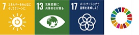 sdgsicon