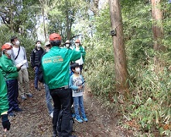 shizen