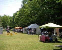 parkfes