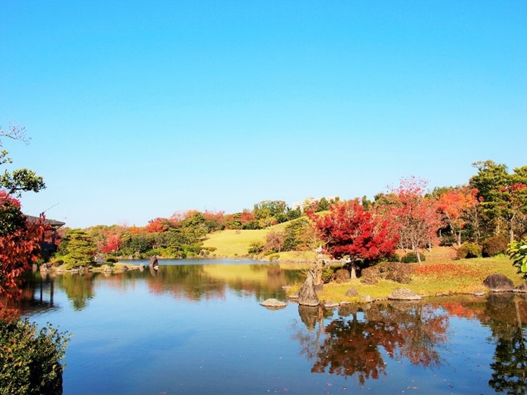 日本庭園の紅葉