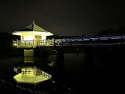 浮見堂ライトアップ