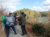 自然観察会