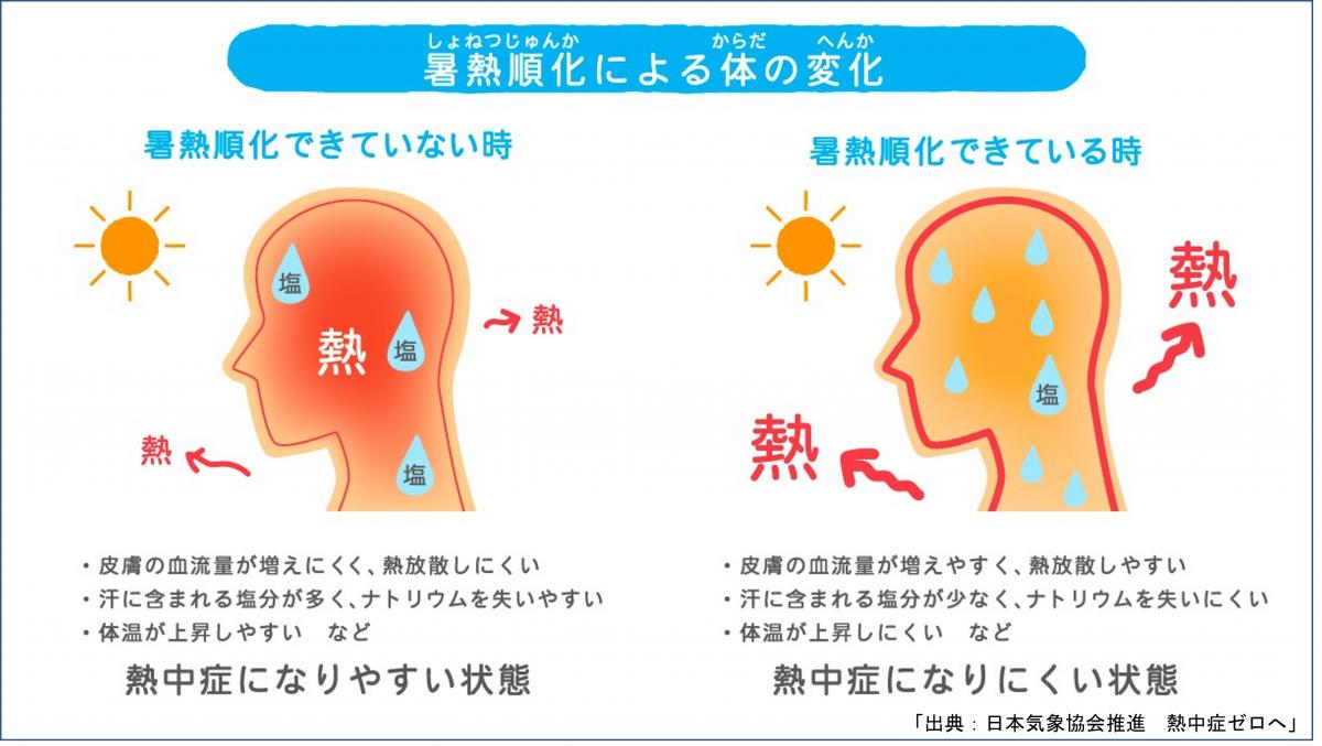 身体の変化