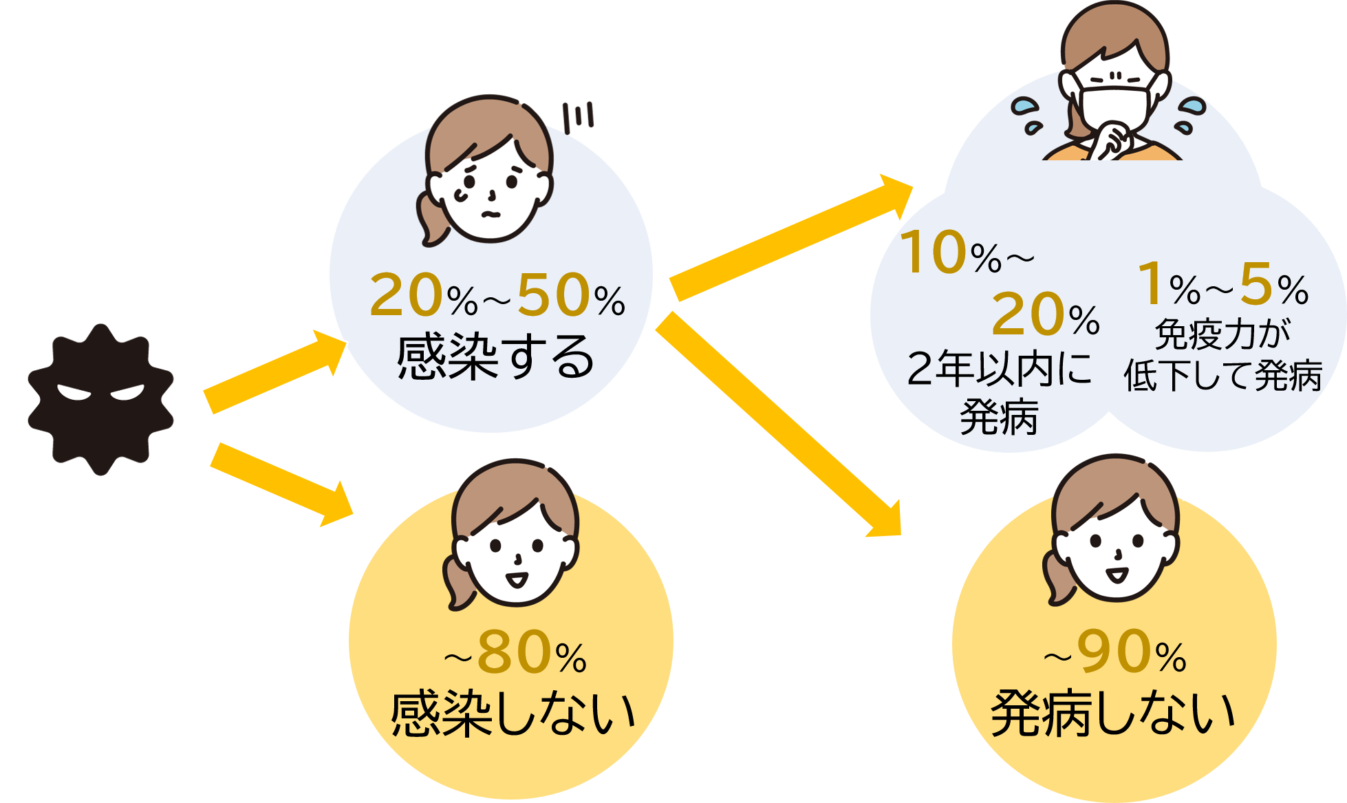 結核の感染。発病について
