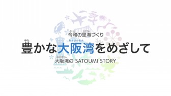 動画の概要