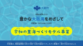 動画の概要