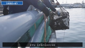 動画の概要