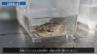 動画の概要
