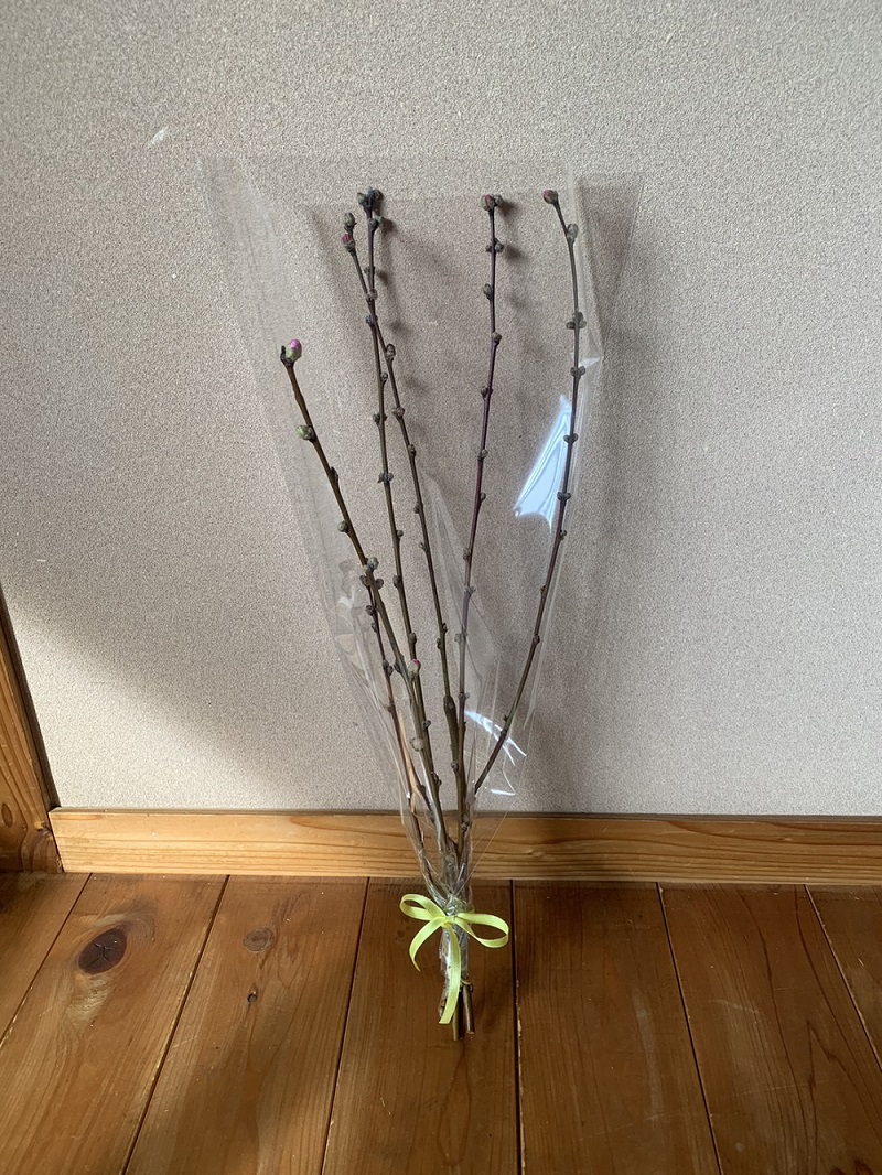 ハナモモ