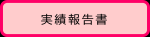 実績報告