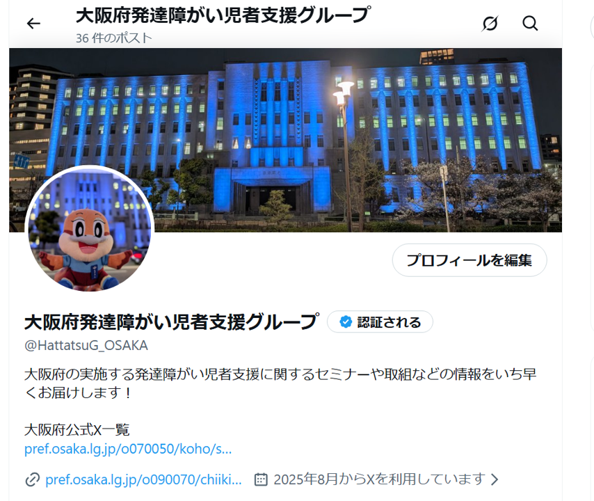 公式X