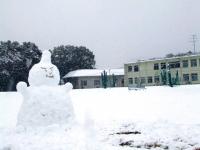 雪だるまの画像