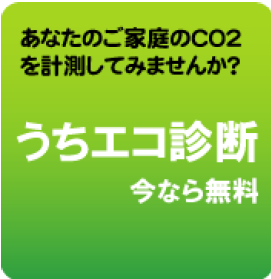 うちエコ