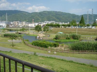 花園多目的遊水地の普段の様子