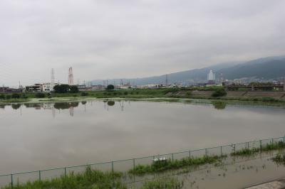 恩智川治水緑地の貯留の様子2