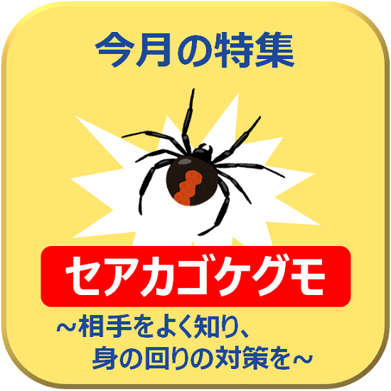 セアカゴケグモ