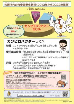 生で食べたらあカンピロバクター裏