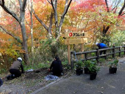 階段を設置するためにツルハシで地山を削っている様子の画像