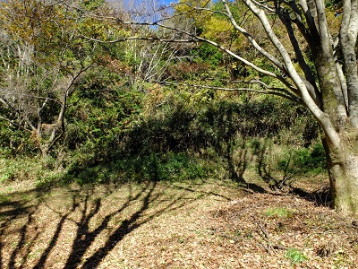 当日の活動区域の概況画像その2