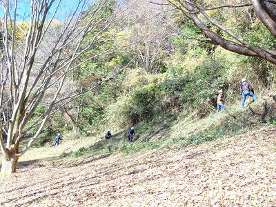 笹刈り下草刈りの作業の結果の様子です。