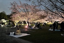 深北緑地