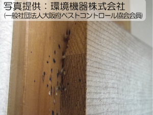 一例1