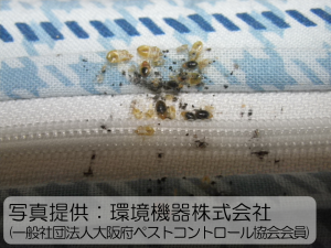 一例3