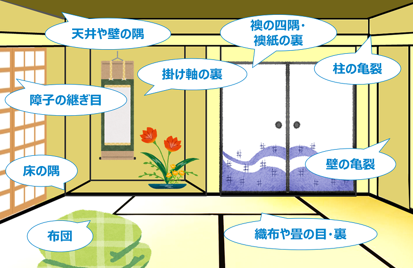 和室の確認場所のイラスト