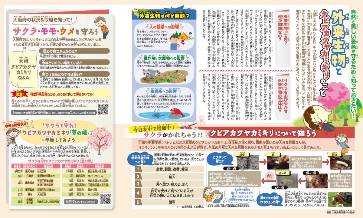5月号巻頭特集