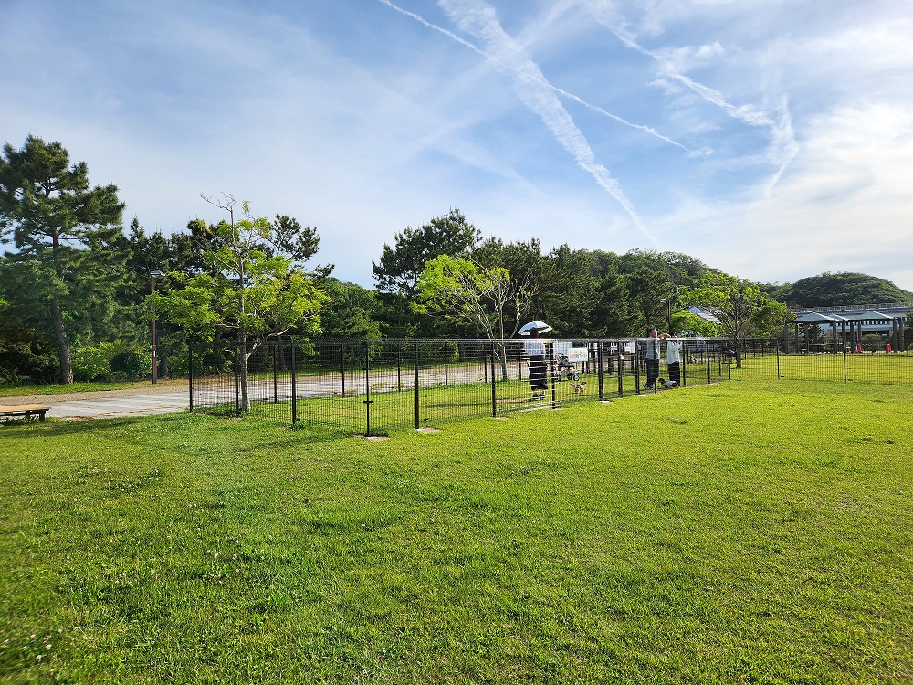 せんなん里海公園ドッグラン