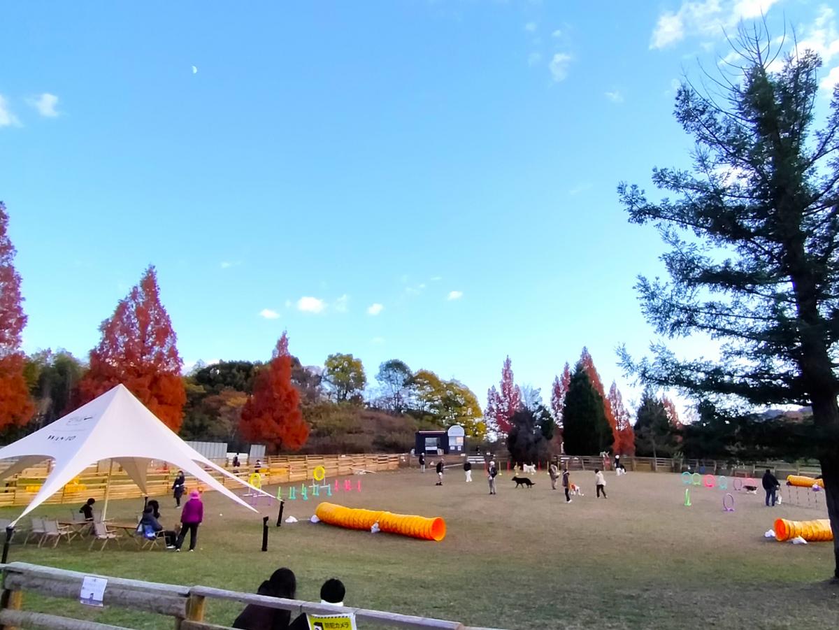 蜻蛉池公園ドッグラン