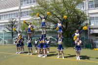 学校の写真4