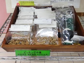 仕分け実習3