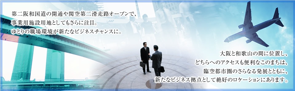 産業用地（阪南スカイタウン）