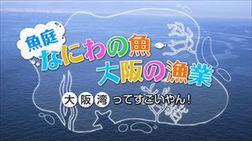 日本語ページへのリンク
