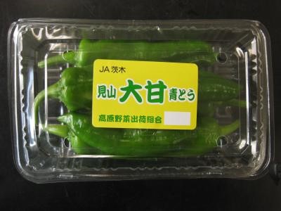 大甘青とう（出荷パック）