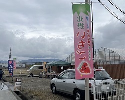 安田農園1