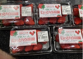 いちご販売