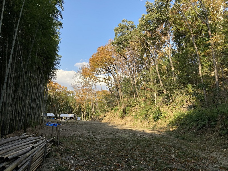 植樹予定箇所の状況写真