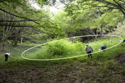 作業前の草刈り対象箇所の状況2