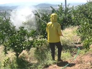 画像：人力による農薬散布風景