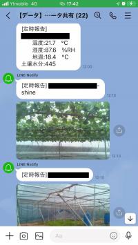 画像：LINEグループのスマホ画面