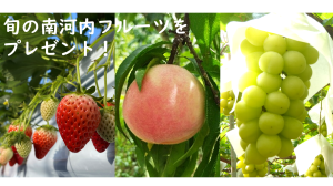 旬のフルーツプレゼント