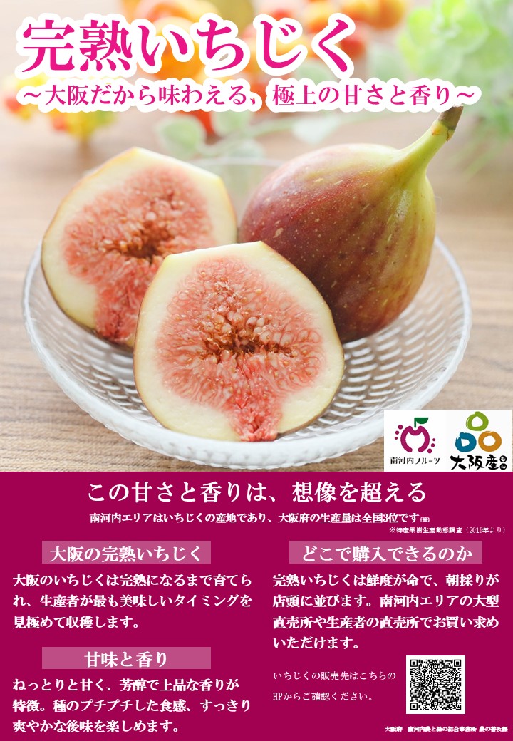 いちじくまつりチラシ裏